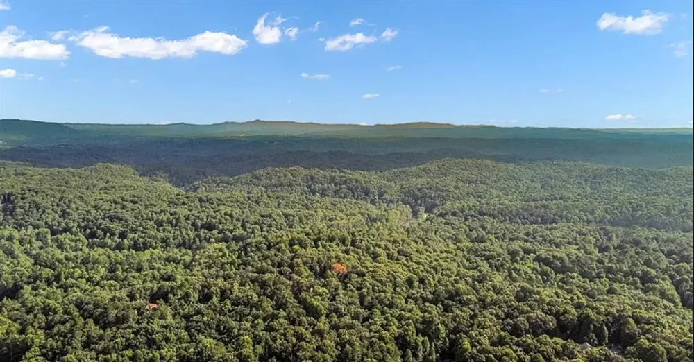 165 Timberwalk Drive Ellijay, GA 30540