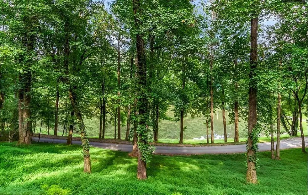 165 Timberwalk Drive Ellijay, GA 30540