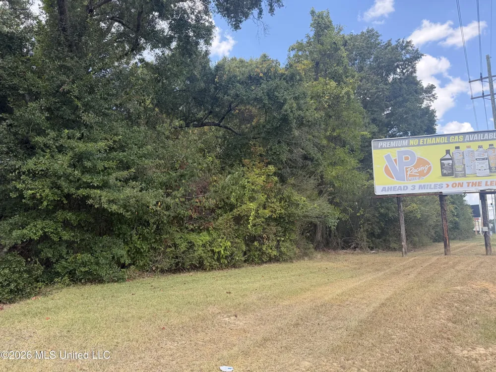 2.87 Acres U S Highway 49 Richland, MS 39218