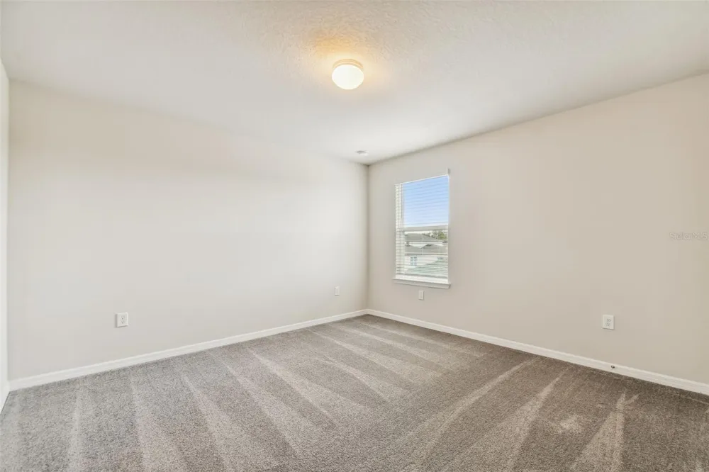 6586 ASBURY BARNES STREET Wesley Chapel, FL 33545