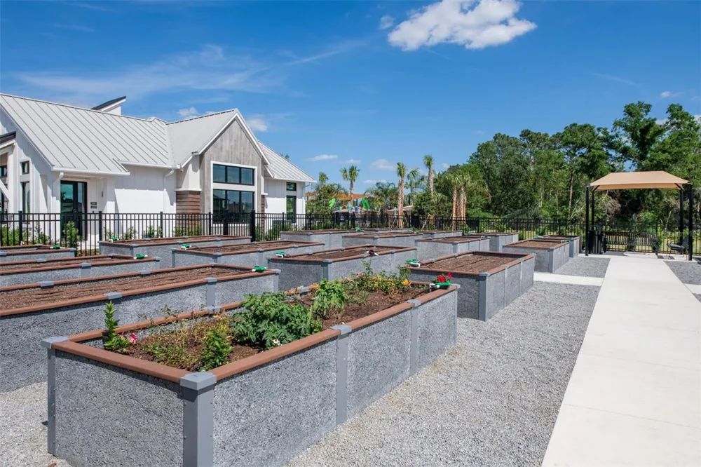 6586 ASBURY BARNES STREET Wesley Chapel, FL 33545