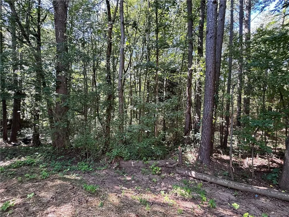 27 Carrington Trace NE Cartersville, GA 30121