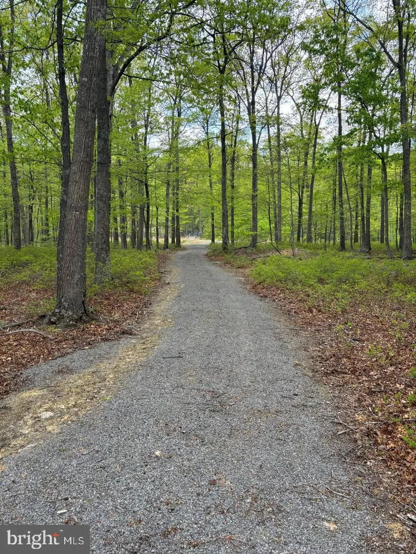 64 TROUT PASS PARK ROAD Mathias, WV 26812