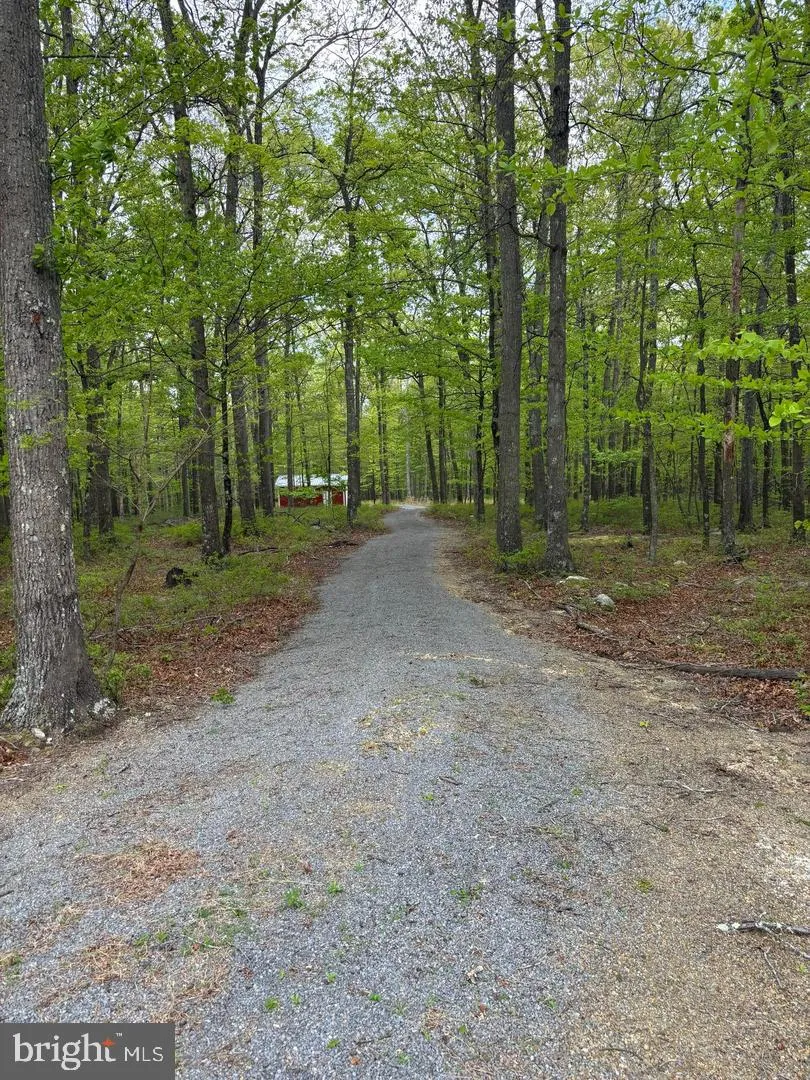 64 TROUT PASS PARK ROAD Mathias, WV 26812