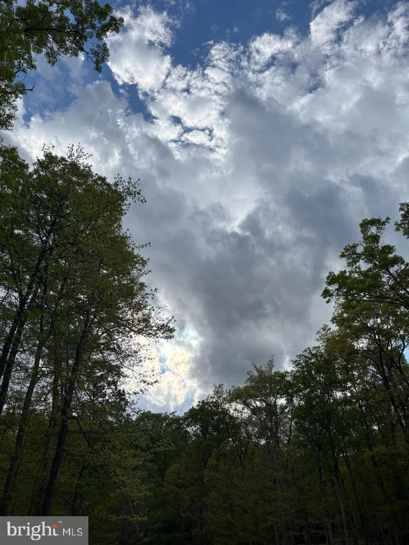 64 TROUT PASS PARK ROAD Mathias, WV 26812