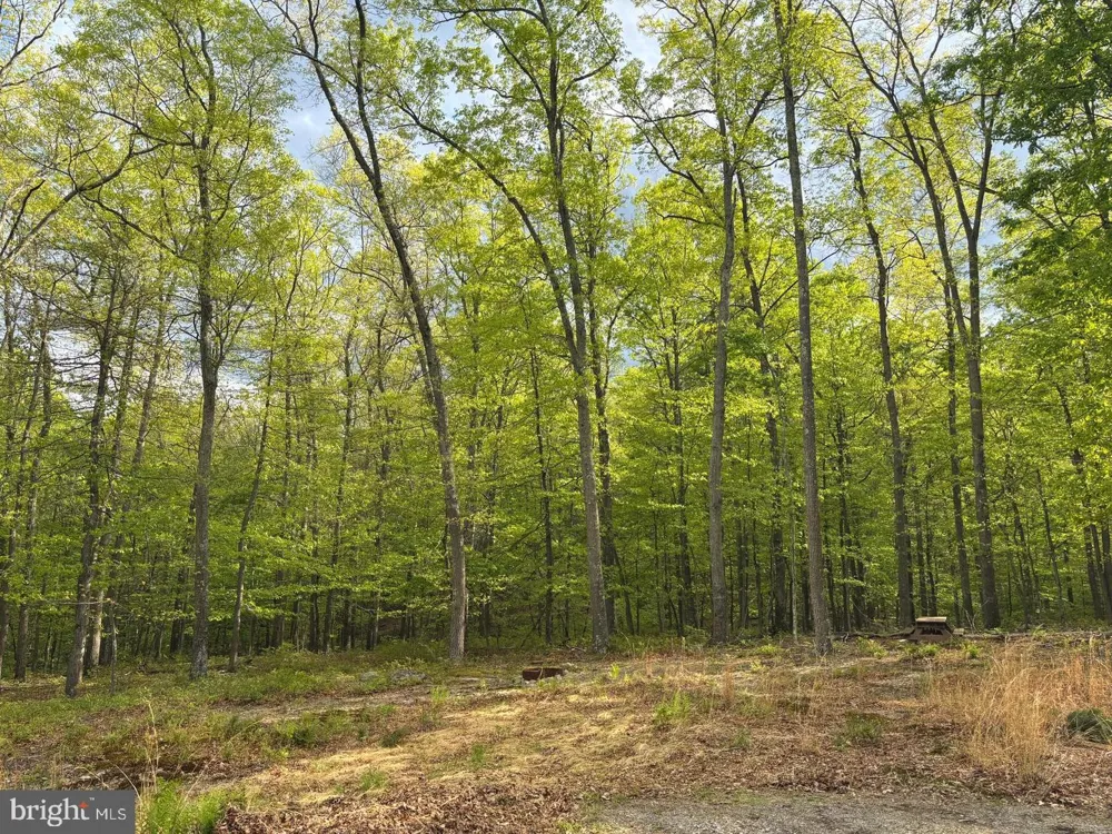 64 TROUT PASS PARK ROAD Mathias, WV 26812
