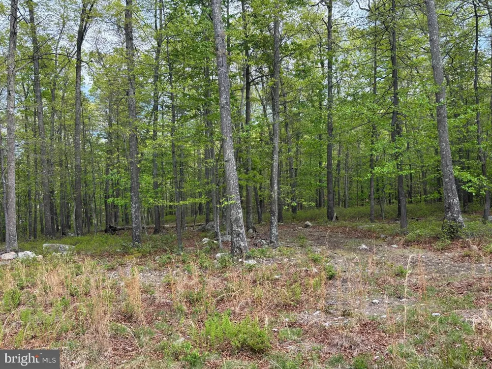 64 TROUT PASS PARK ROAD Mathias, WV 26812