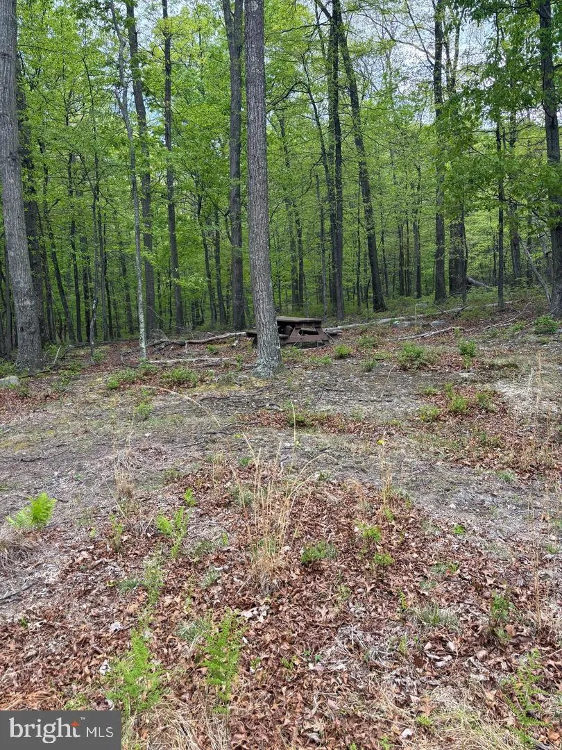 64 TROUT PASS PARK ROAD Mathias, WV 26812