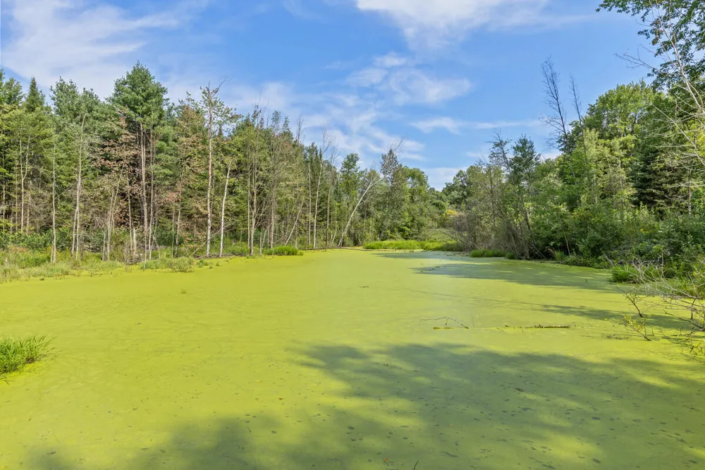 11847 E 7 Mile Road Dover Township, MI 49688
