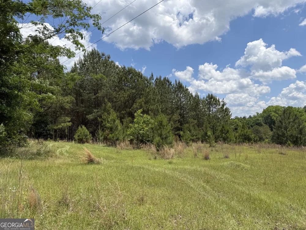 004 Little Sandy Creek RD Toomsboro, GA 31090