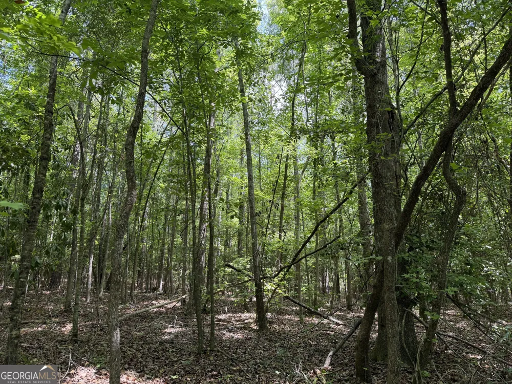 004 Little Sandy Creek RD Toomsboro, GA 31090