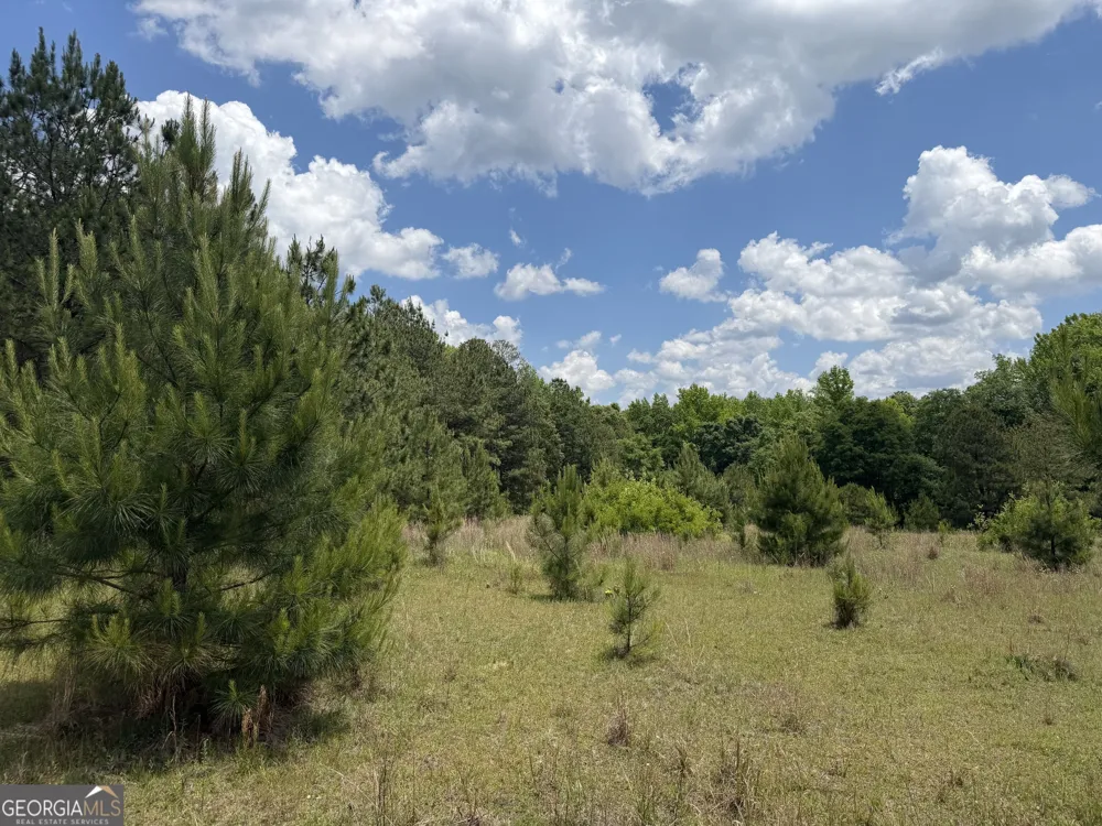 004 Little Sandy Creek RD Toomsboro, GA 31090