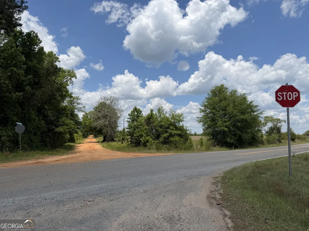 004 Little Sandy Creek RD Toomsboro, GA 31090