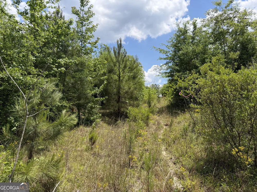 004 Little Sandy Creek RD Toomsboro, GA 31090