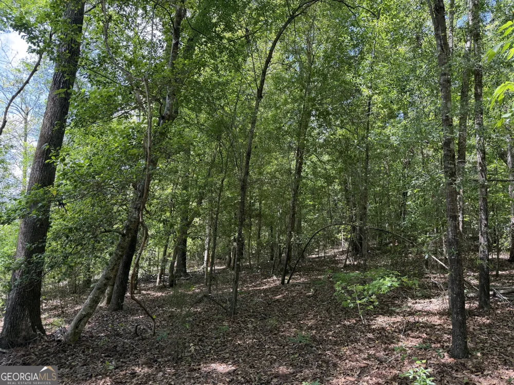 004 Little Sandy Creek RD Toomsboro, GA 31090