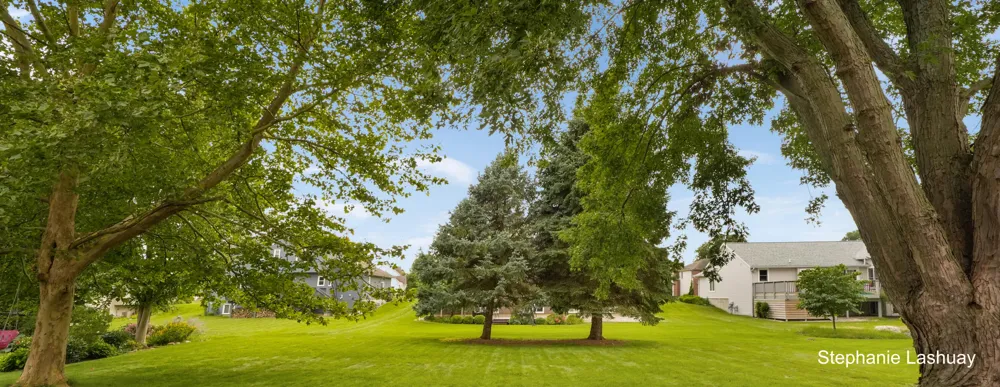 4029 Redbush Drive SW Grandville, MI 49418