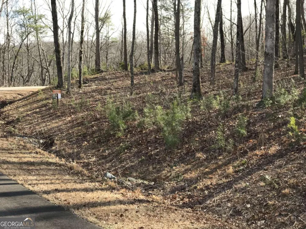 179 Trailwood DR Ellijay, GA 30536