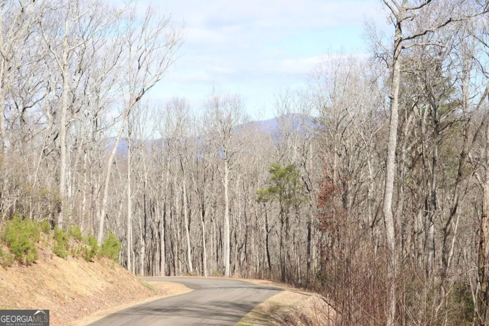 179 Trailwood DR Ellijay, GA 30536
