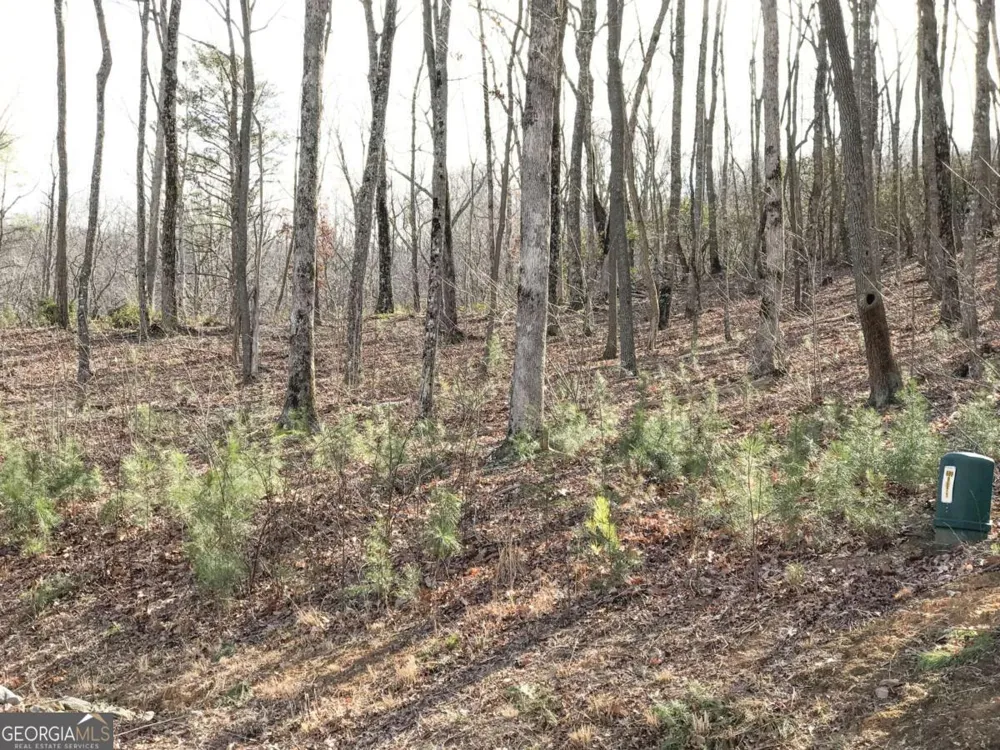 179 Trailwood DR Ellijay, GA 30536