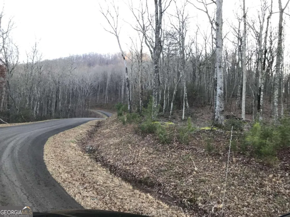 179 Trailwood DR Ellijay, GA 30536