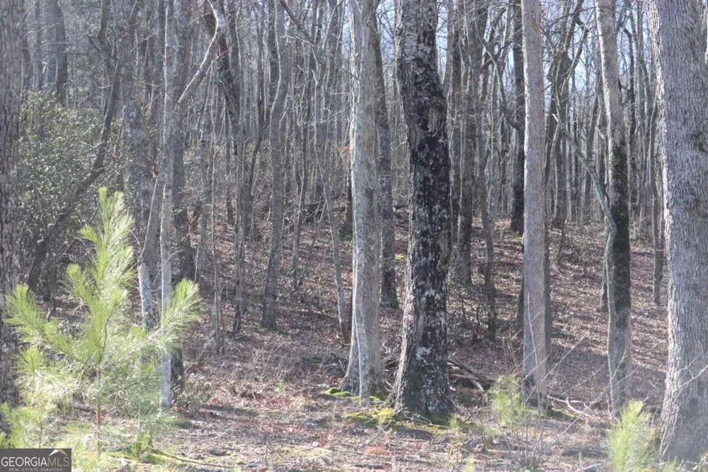179 Trailwood DR Ellijay, GA 30536