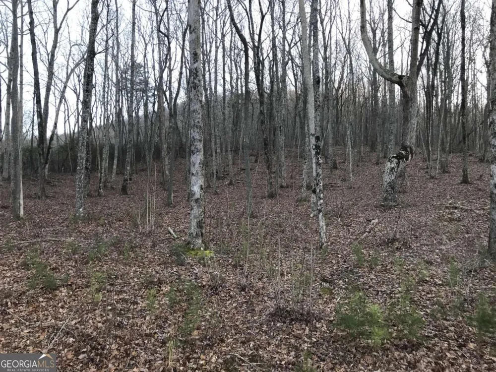 179 Trailwood DR Ellijay, GA 30536