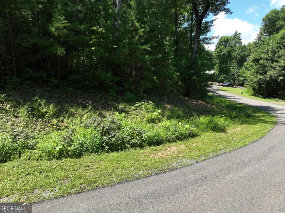 179 Trailwood DR Ellijay, GA 30536