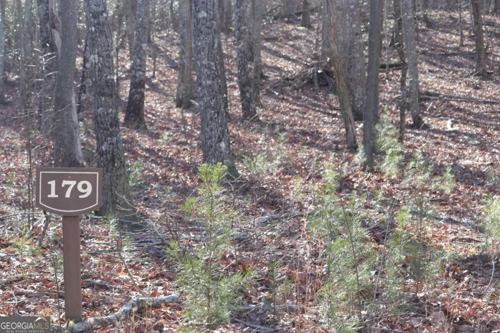 179 Trailwood DR Ellijay, GA 30536