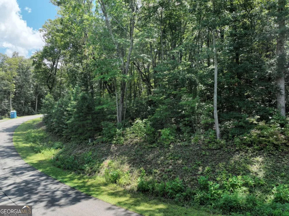 179 Trailwood DR Ellijay, GA 30536