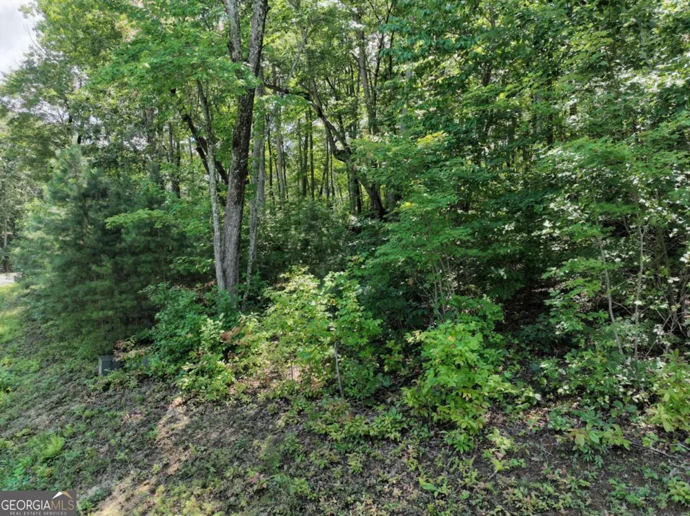 179 Trailwood DR Ellijay, GA 30536