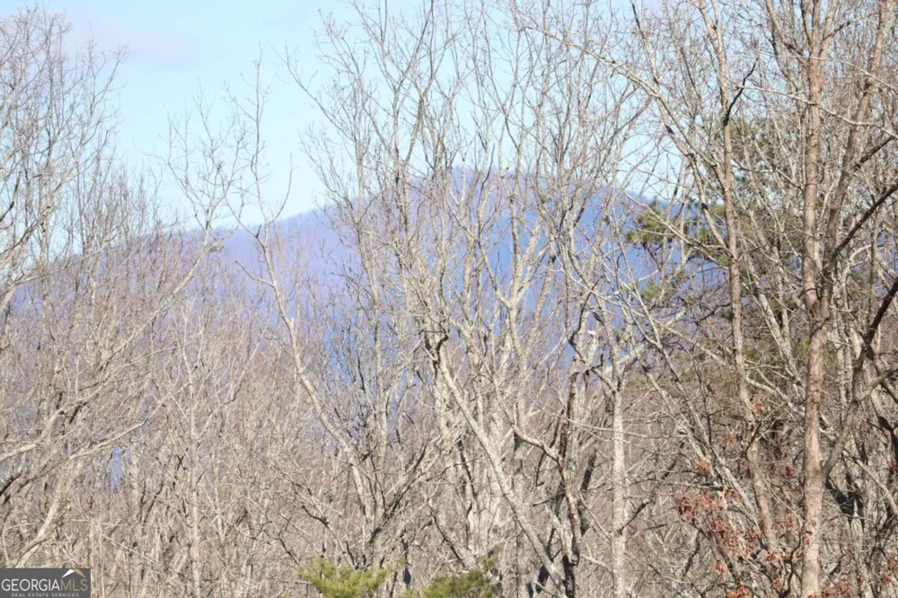 179 Trailwood DR Ellijay, GA 30536