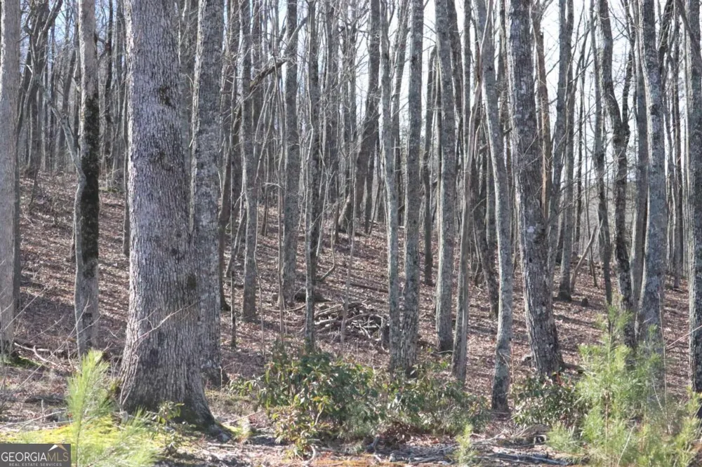 179 Trailwood DR Ellijay, GA 30536