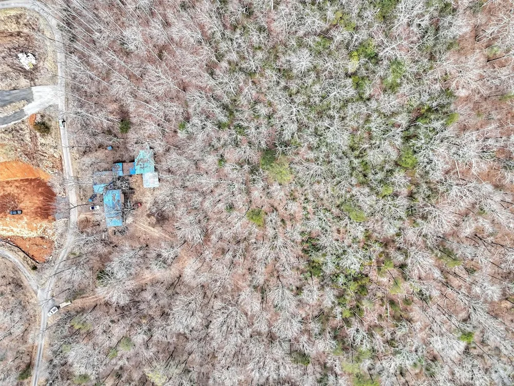 TBA Black Mountain Road #12 Cullowhee, NC 28723