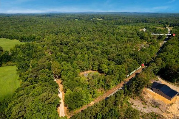 7704 Georgia Highway 100 Buchanan, GA 30113