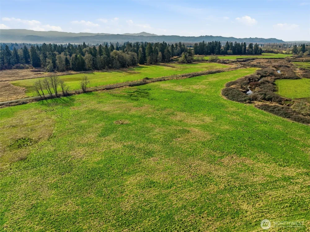 957 W State Route 4 Cathlamet, WA 98612