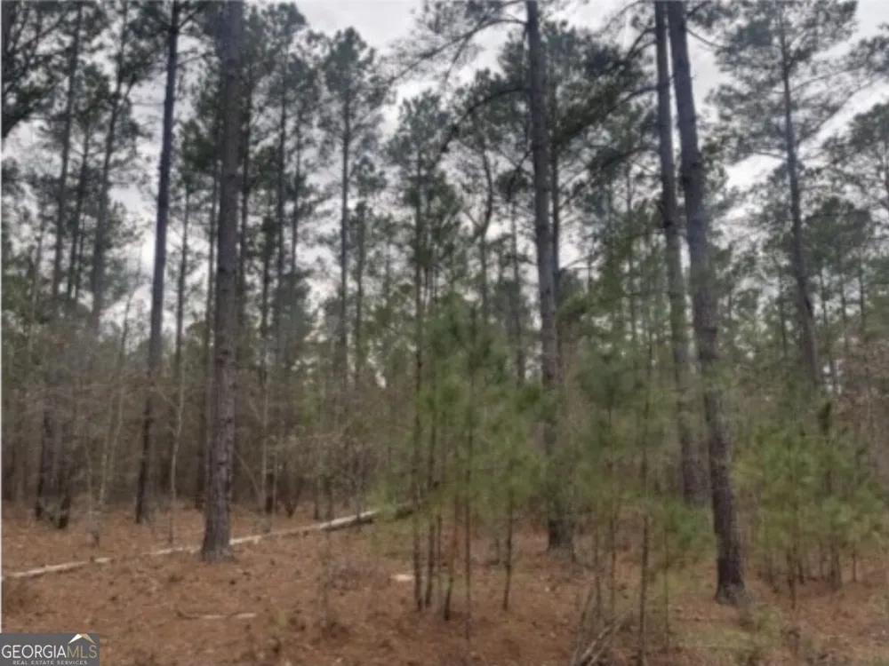 0 Black Springs RD Milledgeville, GA 31061