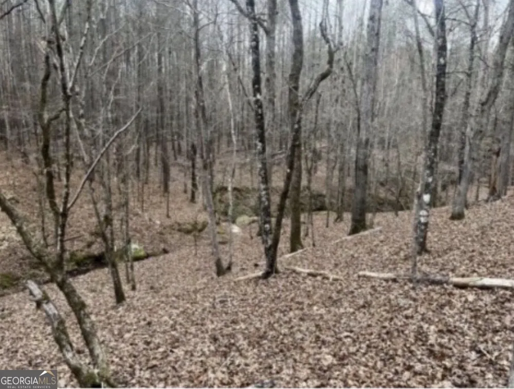 0 Black Springs RD Milledgeville, GA 31061