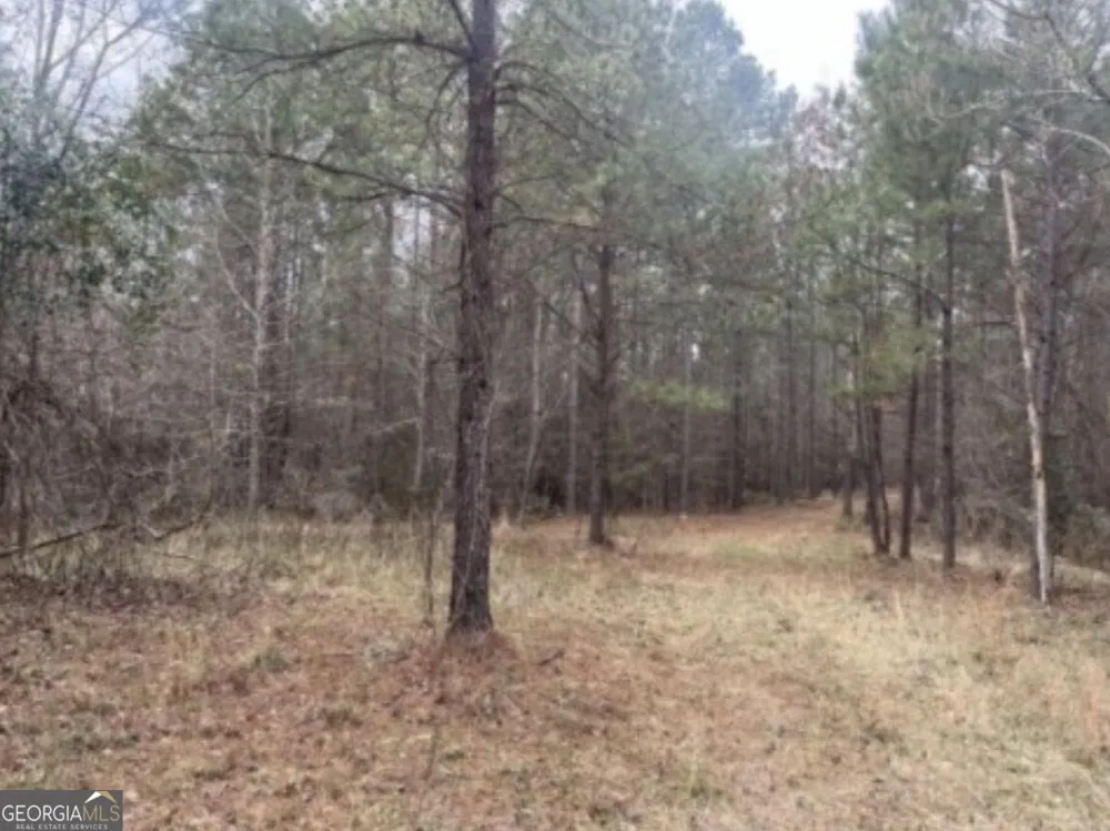 0 Black Springs RD Milledgeville, GA 31061
