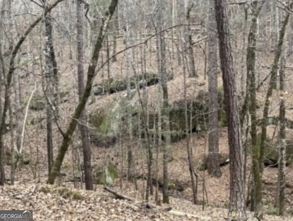 0 Black Springs RD Milledgeville, GA 31061