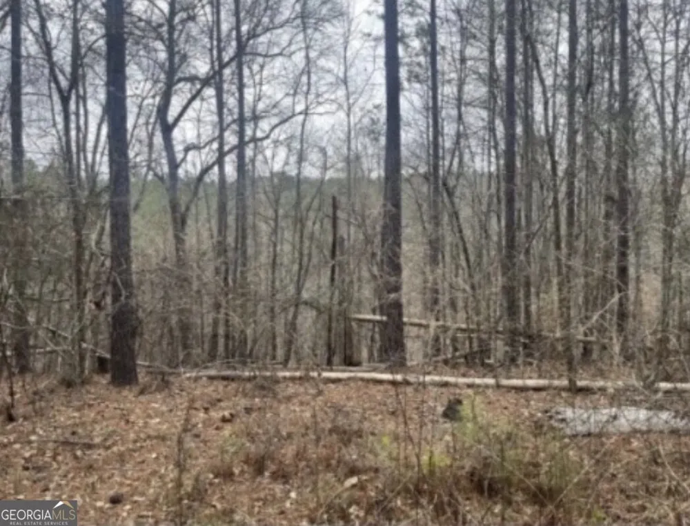 0 Black Springs RD Milledgeville, GA 31061