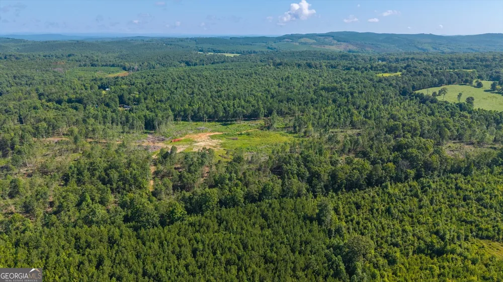 0 County Road 404 Heflin, AL 36264