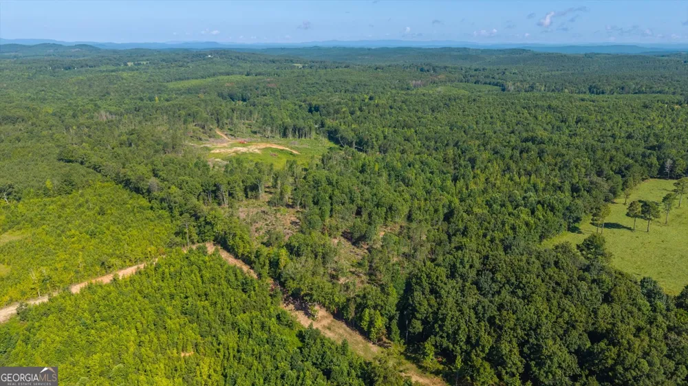 0 County Road 404 Heflin, AL 36264