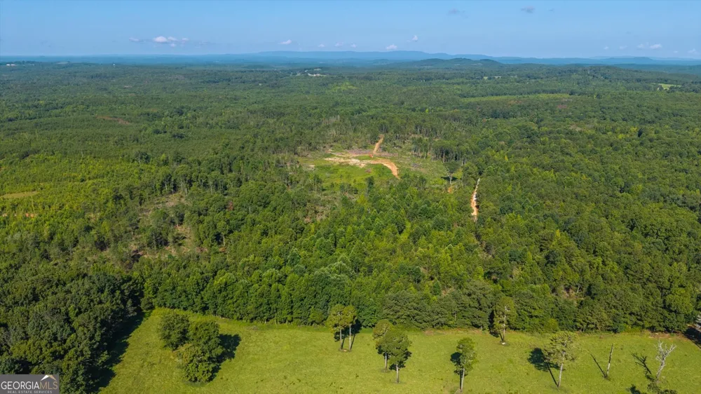 0 County Road 404 Heflin, AL 36264