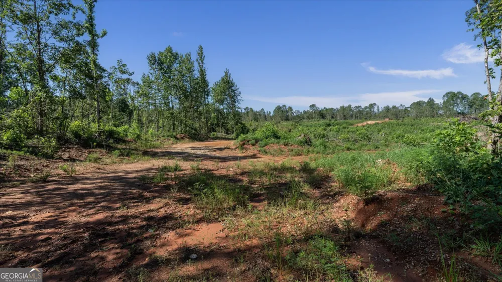 0 County Road 404 Heflin, AL 36264