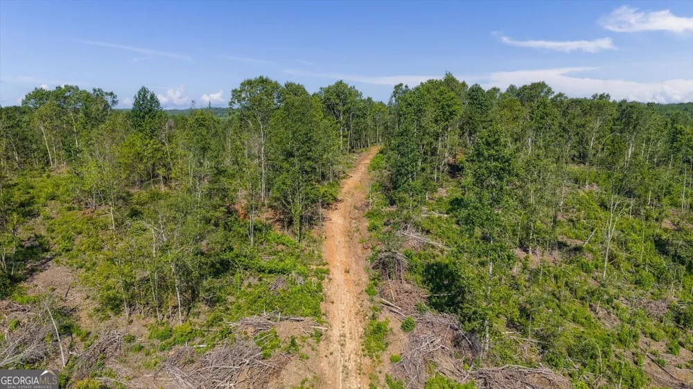 0 County Road 404 Heflin, AL 36264