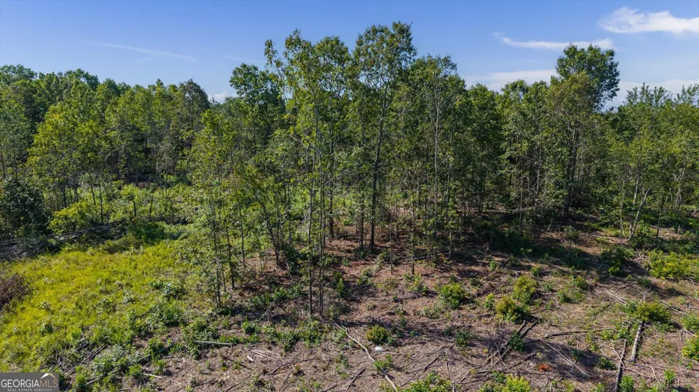 0 County Road 404 Heflin, AL 36264