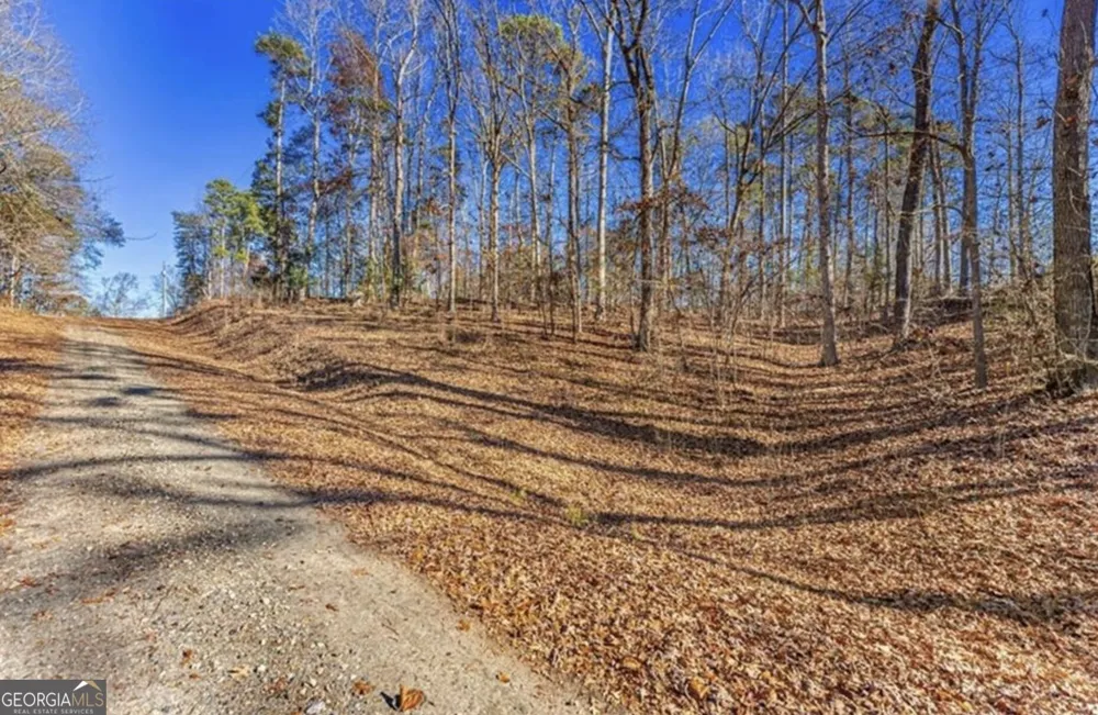 0 Mountain View RD Lavonia, GA 30553