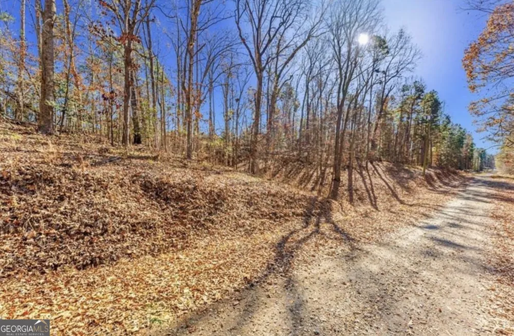 0 Mountain View RD Lavonia, GA 30553