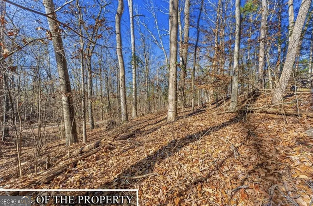 0 Mountain View RD Lavonia, GA 30553