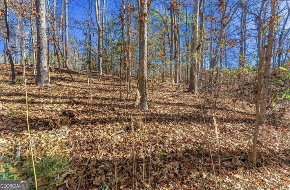 0 Mountain View RD Lavonia, GA 30553